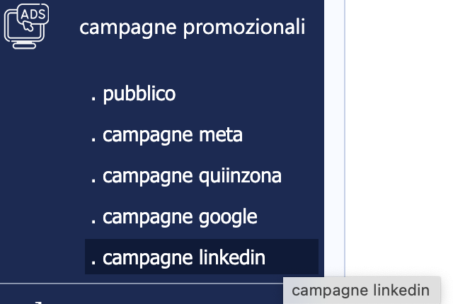 gestione campagne linkedin ads